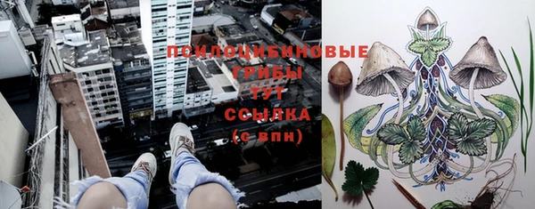 гашиш Новодвинск