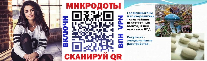 Купить  Жирновск  Псилоцибиновые грибы MAGIC MUSHROOMS 